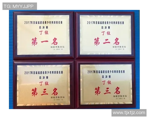 赛后分析:北京网球队与南京网球队的表现与状态对比探讨