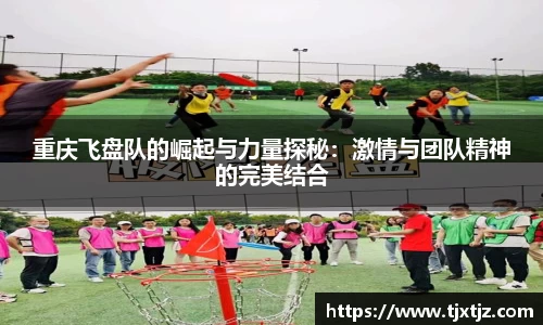 重庆飞盘队的崛起与力量探秘：激情与团队精神的完美结合