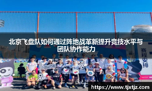 北京飞盘队如何通过阵地战革新提升竞技水平与团队协作能力